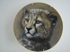 Princeton gallery cubs for sale  WATERLOOVILLE