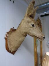 Mounted taxidermy deer for sale  BANBURY