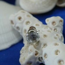 Vintage white sapphire for sale  Sarasota