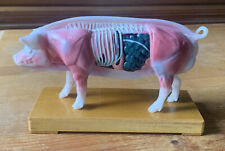 Vintage pig anatomy for sale  Wichita