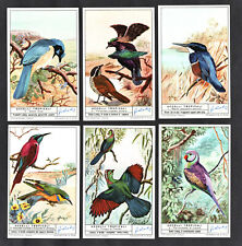 Tropical birds cards for sale  BRIDPORT