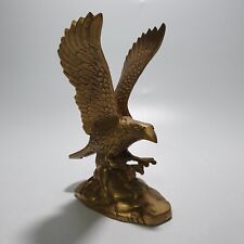 Schöner adler vogel gebraucht kaufen  Forchheim