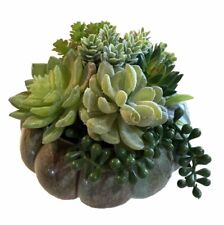 Artificial succulent arrangeme for sale  Hutchinson