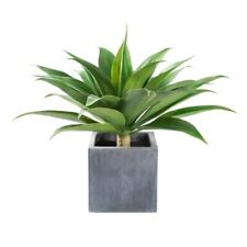 large artificial plant for sale  Lincoln