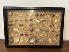 Vintage japanese seashell for sale  Jacksonville