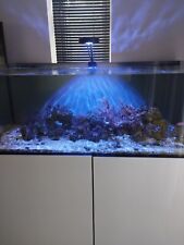 Full Marine Fish Tank Setup 250 Litres and many extras for sale  BARROW-UPON-HUMBER