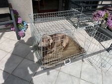 Hundebox hundetransportbox hun gebraucht kaufen  Hattingen