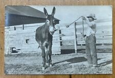 Rancher and His Mule Goodland Kansas RPPC 1911 segunda mano  Embacar hacia Argentina