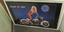 SEASIDE AT NIGHT POSTER NEW 1988 RARE VINTAGE COLLECTIBLE OOP HOT SEXY HARLEY for sale  Shipping to Canada