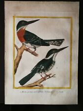 Antique colour engraving for sale  BOURNEMOUTH