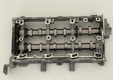 04b103308a modulo alberi usato  Ciampino