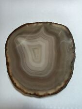 Brown agate slice for sale  PORTSMOUTH