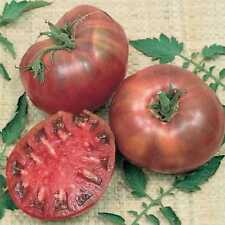 Cherokee purple tomato for sale  Deltona