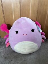 Cailey crab squishmallow for sale  STOCKTON-ON-TEES
