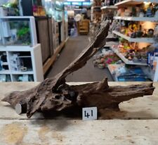 Med/Lge Mangrove 21-36cm Root Bogwood Driftwood ideal for aquariums & vivariums for sale  Shipping to South Africa
