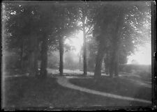 Antique photo glass d'occasion  Expédié en Belgium