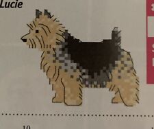 Norwich terrier tiny for sale  UK