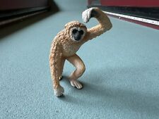 gibbon monkey for sale  Morgan Hill
