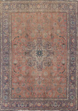 large living room rug for sale  Charlotte