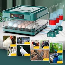 Eggs incubator temperature for sale  Shipping to Ireland