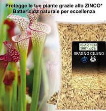 Sfagno per orchidee usato  Villanova Di Camposampiero