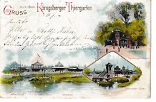 Königsberg kaliningrad tierga gebraucht kaufen  Bruchsal