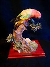 Montefiori parrot branch for sale  Springfield