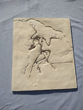 Archaeopteryx quality museum for sale  Sparks Glencoe