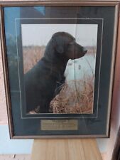 Black lab dog for sale  Boca Raton