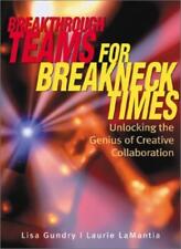 Breakthrough Teams for Breakneck Times: Unlocking the Genius of  for sale  Shipping to South Africa
