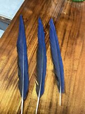 Hyacinth macaw tail for sale  Kaneohe