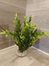 Aquarium plant home for sale  ROCHDALE