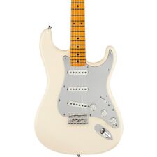 Fender nile rodgers for sale  Kansas City