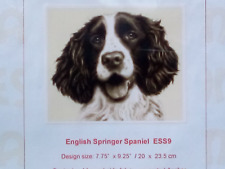 Springer spaniel dog for sale  LEIGHTON BUZZARD