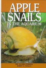 Apple snails aquarium for sale  UK