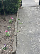 Concrete path edging for sale  DARLINGTON