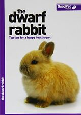 Dwarf rabbit good for sale  UK