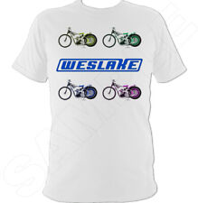 Weslake retro speedway for sale  STONE