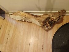 Large long driftwood for sale  ABERYSTWYTH