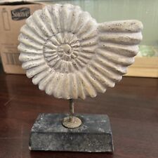 Shell fossil base for sale  Tyler