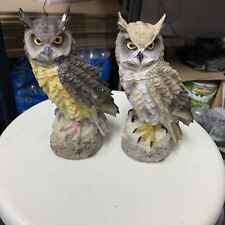 Deayou horned owl for sale  MANCHESTER