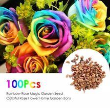 100 rainbow rose for sale  HARLOW