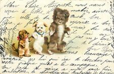 Famille chiens chiot d'occasion  France