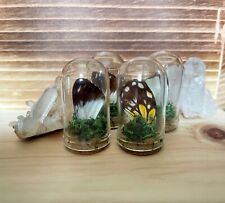 Miniature butterfly jar for sale  GOREBRIDGE