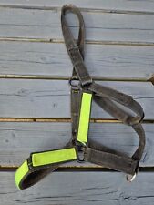 Field safe headcollar for sale  WOTTON-UNDER-EDGE