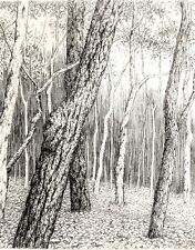 Used, Ryohei Tanaka signed etching ~ trees ~ forest ~ landscape ~ 136/150 ~ 1990 for sale  Shipping to Canada