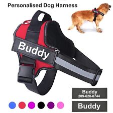 Personalized dog harness for sale  NOTTINGHAM
