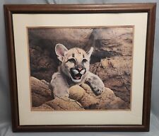 Vintage cougar cub for sale  Santa Barbara