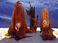 large driftwood pieces for sale  Portland