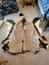 Gemsbok Skin - full tanned hide from Namibia for sale  Shipping to South Africa